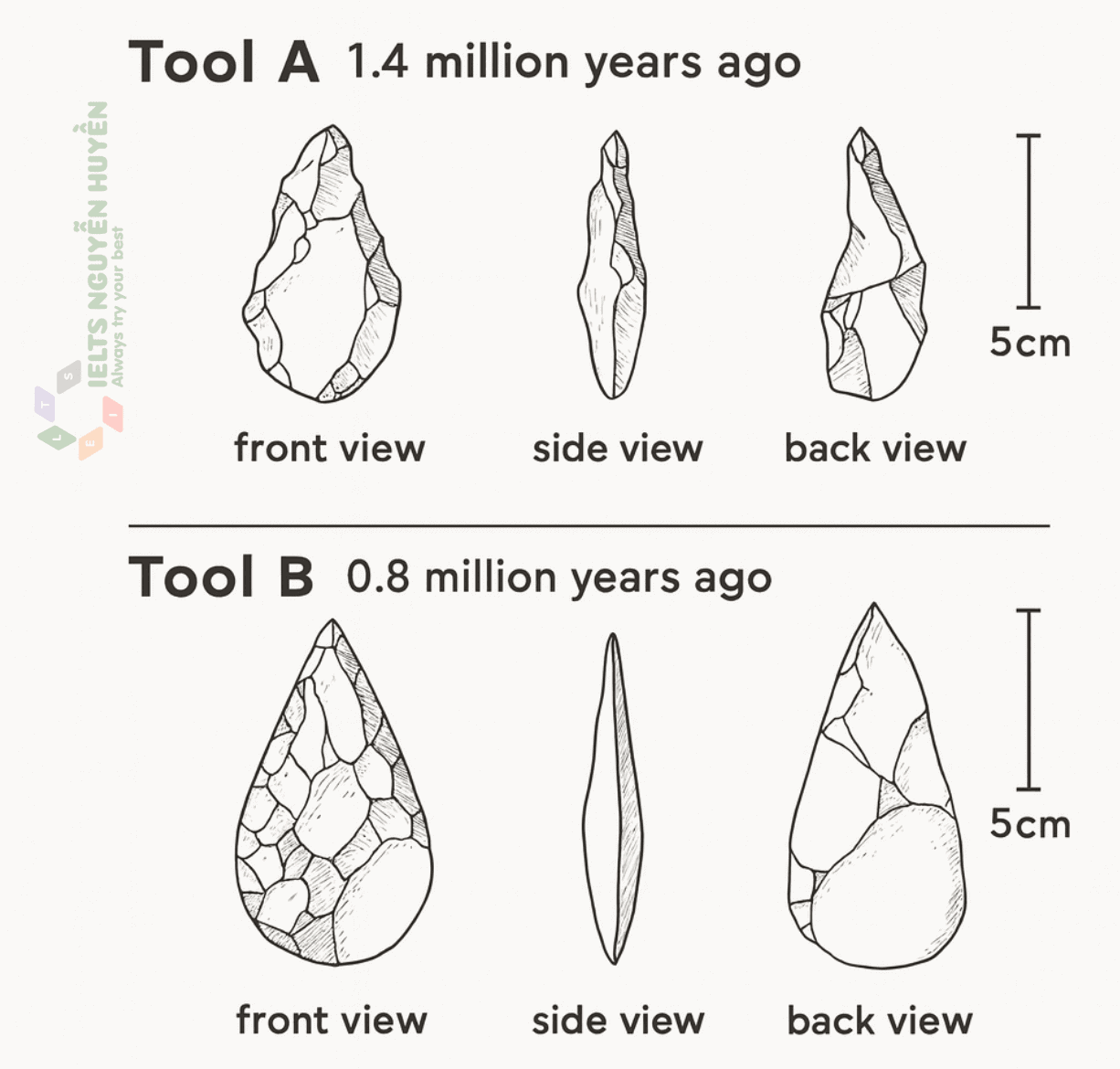 ielts-writing-stone-age-cutting-tools ielts-writing-stone-age-cutting-tools