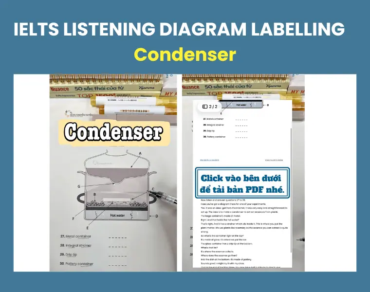 Condenser